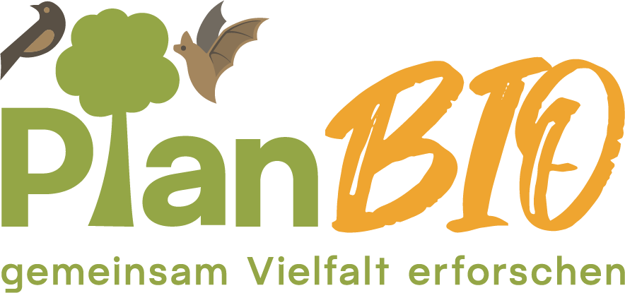 Baummikrohabitate